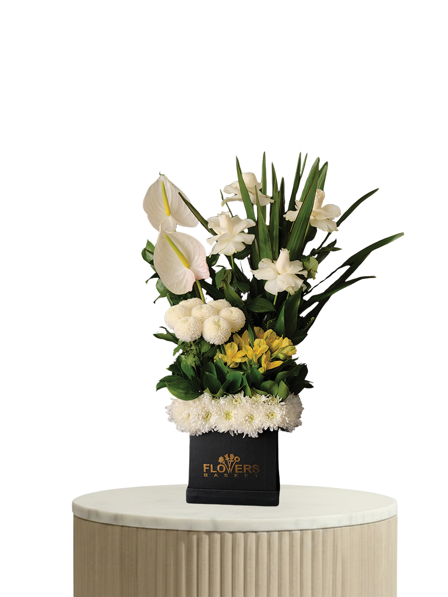 The Ivory Tower view 2