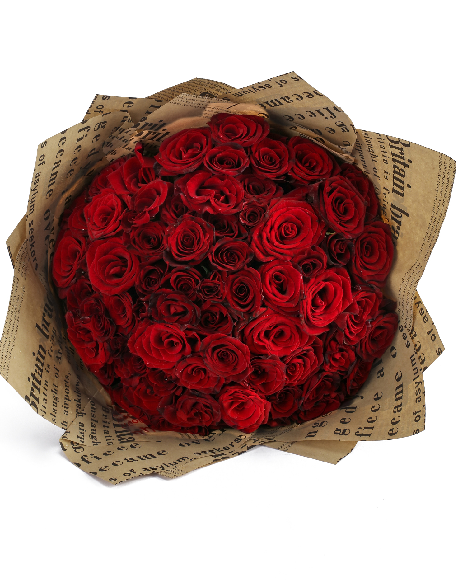 Nosta Passion view 3